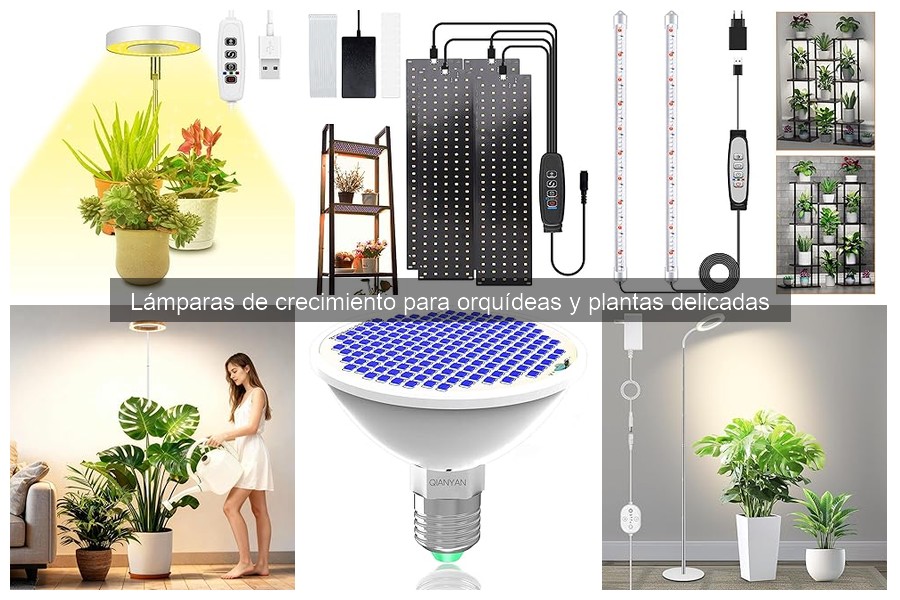 Errores comunes al elegir lámparas de crecimiento para orquídeas