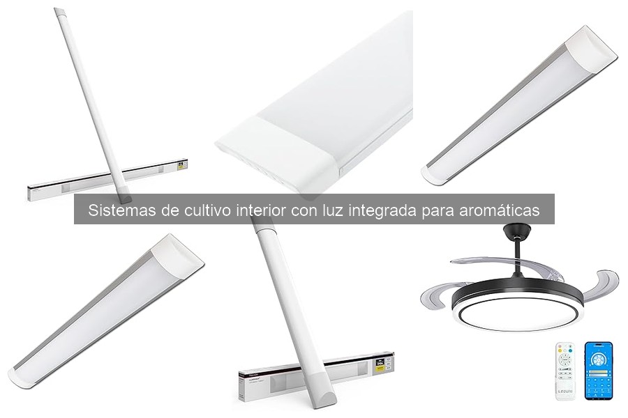 Errores comunes al instalar sistemas de cultivo con luz integrada