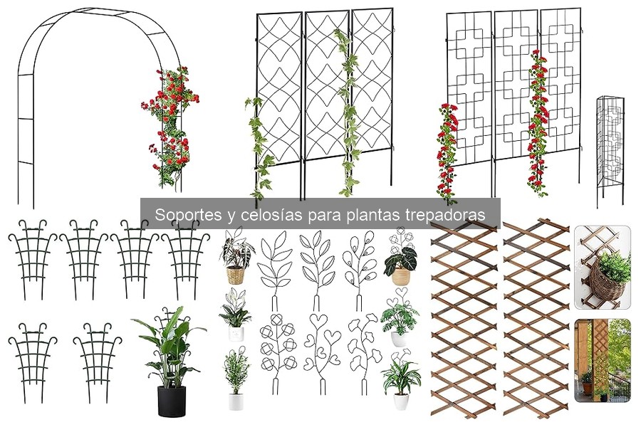 Errores comunes al instalar soportes para plantas trepadoras
