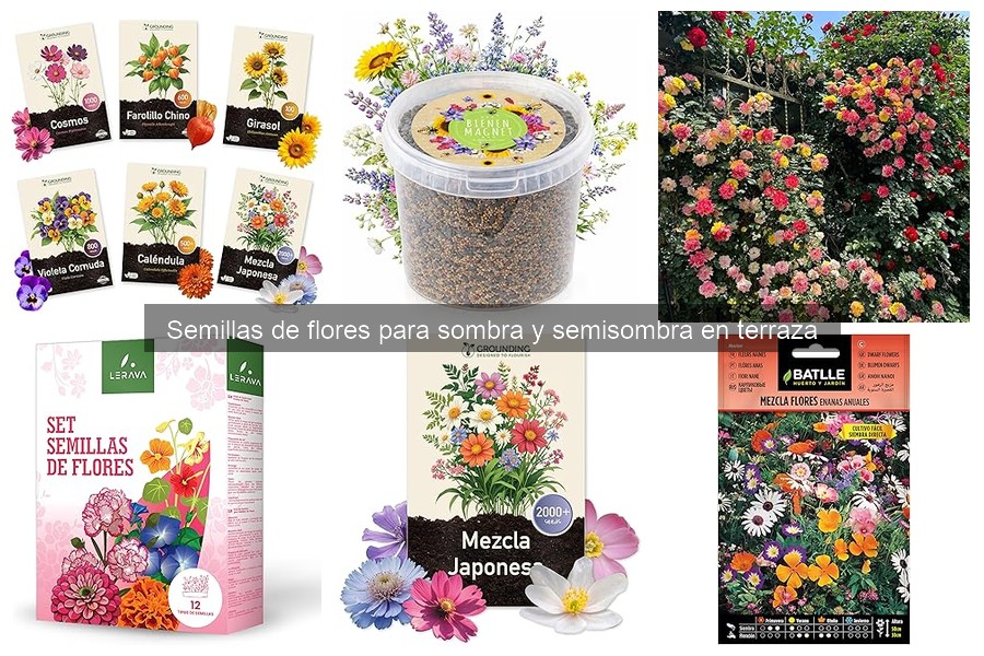 Errores comunes al plantar semillas de flores en sombra