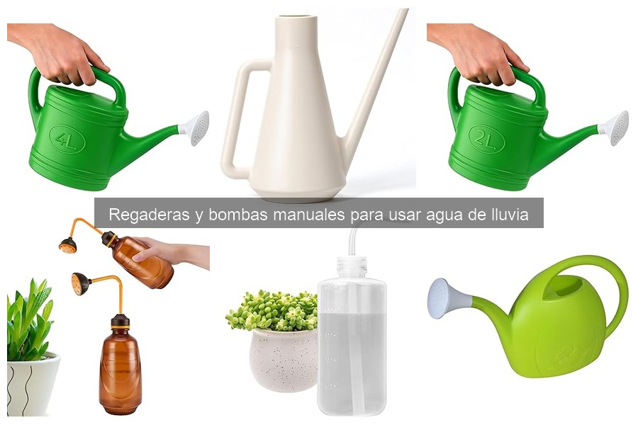 Errores comunes al usar agua de lluvia para regar