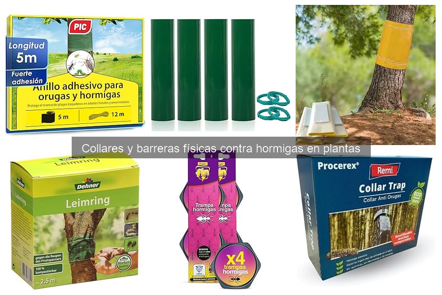 Errores comunes al usar collares y barreras contra hormigas