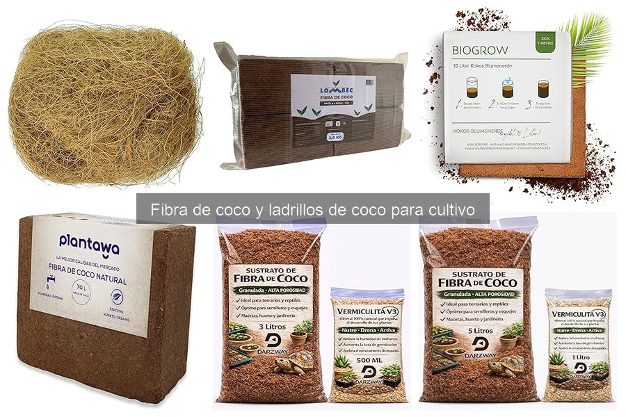 Errores comunes al usar fibra de coco en el cultivo