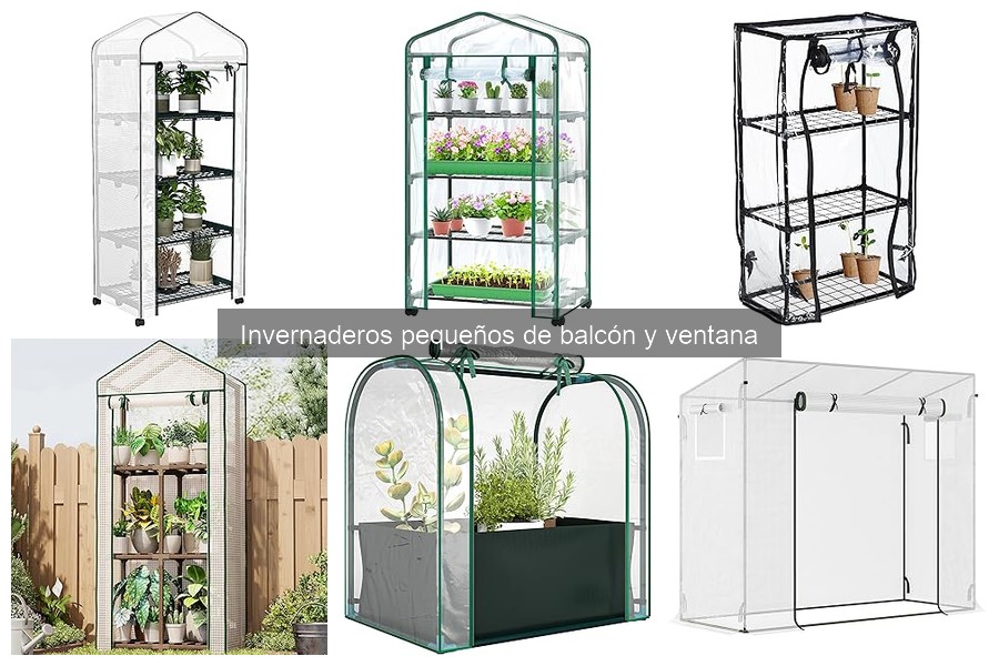 Errores comunes al usar invernaderos pequeños en balcón
