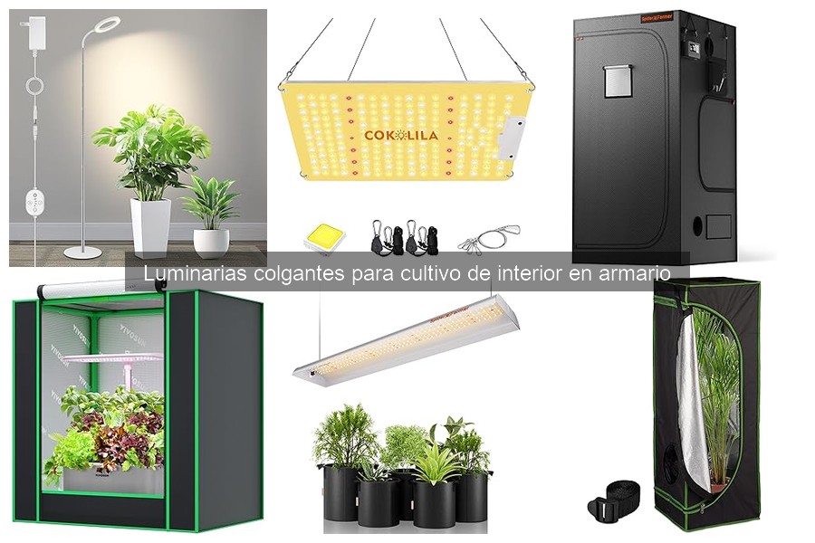Errores comunes al usar luminarias colgantes en cultivo interior
