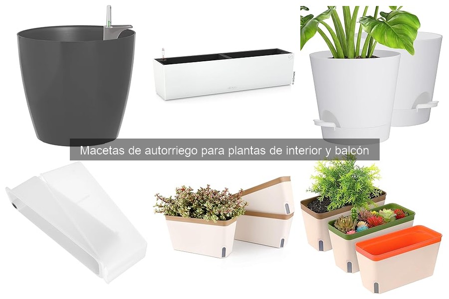 Errores comunes al usar macetas de autorriego para tus plantas