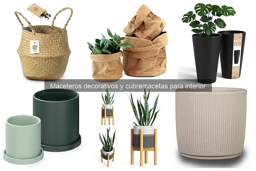 Errores comunes al usar maceteros decorativos en interiores