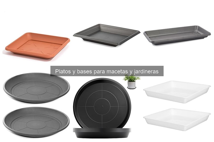 Errores comunes al usar platos y bases para macetas
