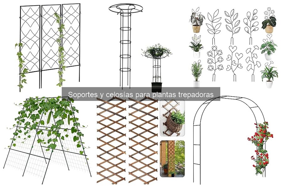 Errores Comunes al Usar Soportes para Plantas Trepadoras