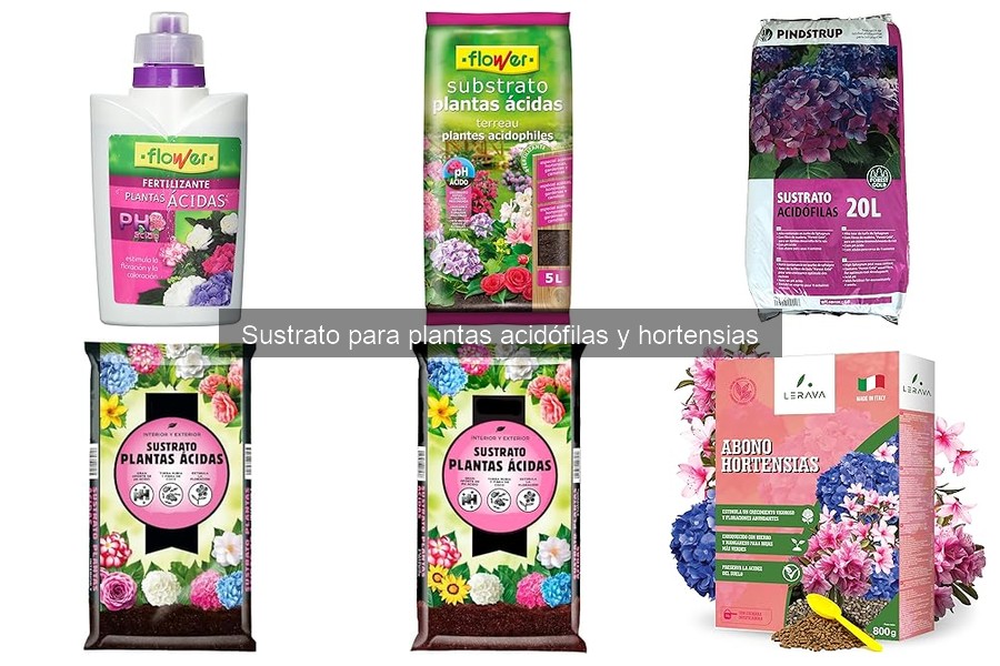 Errores comunes al usar sustrato para hortensias