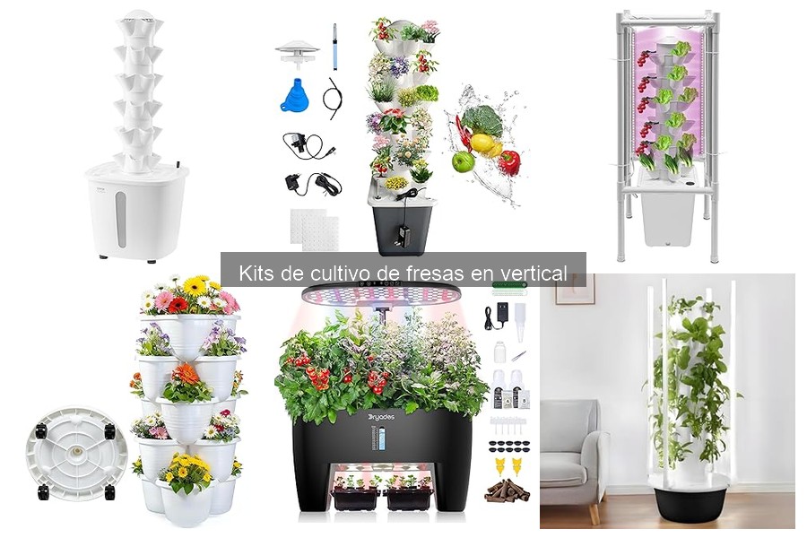 Errores comunes en el cultivo de fresas en vertical