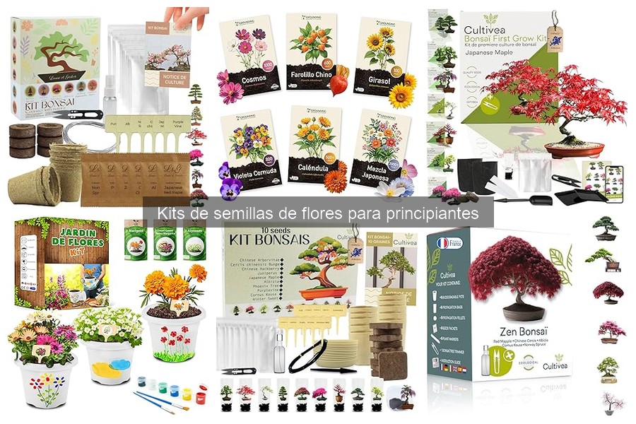 Errores comunes en kits de semillas de flores para principiantes