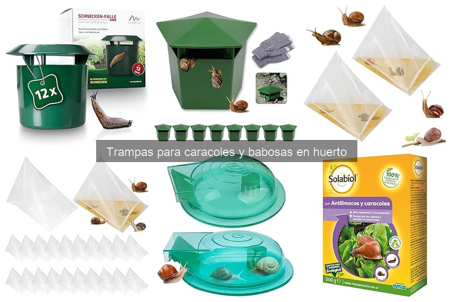 Errores frecuentes al usar trampas para caracoles y babosas