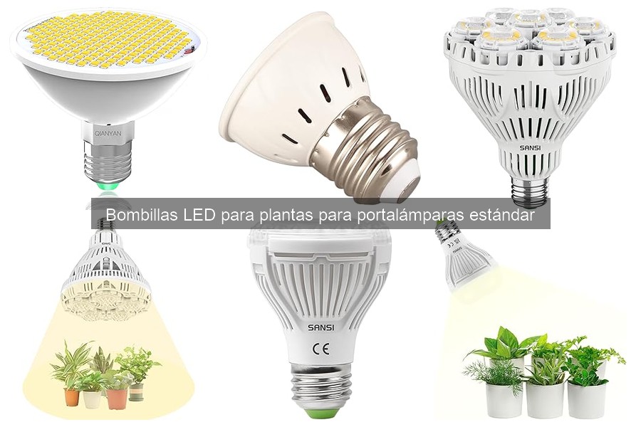 Espectros ideales de luz para plantas: guía de bombillas LED