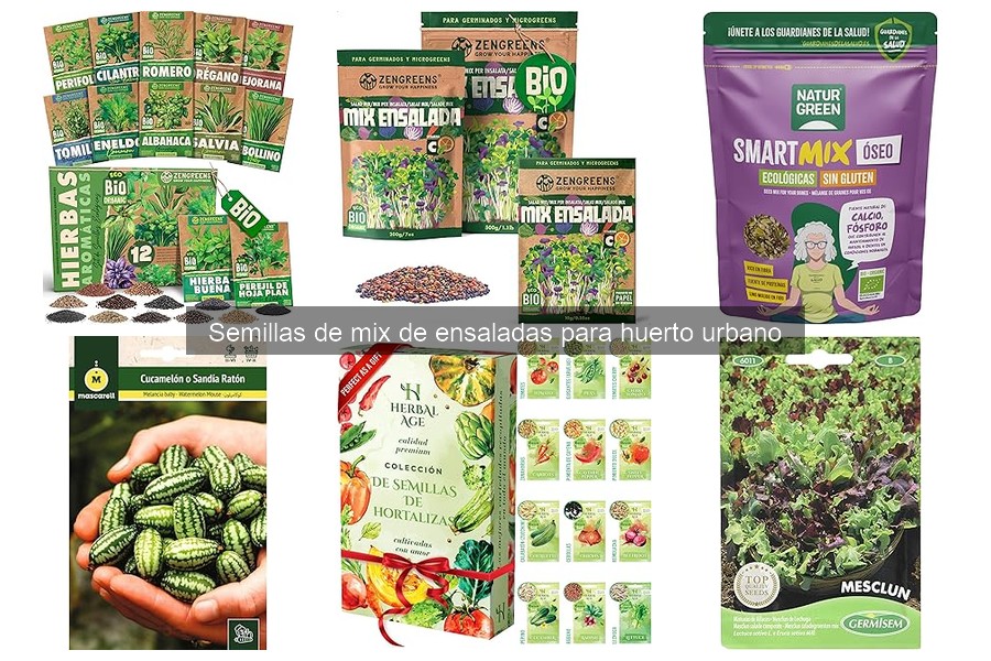 Fertilizantes y Cuidados para Mix de Ensaladas en Huertos