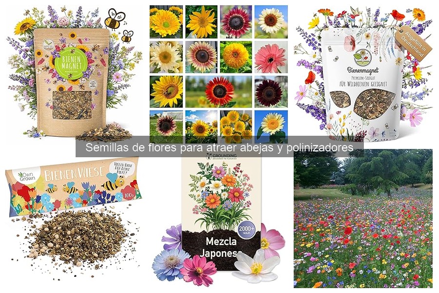 Flores comestibles y su efecto en polinizadores