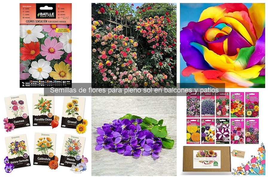 Flores fáciles de cultivar para balcones: ¡empieza hoy!