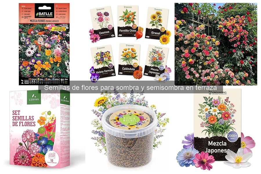 Flores para sombra: elige las mejores alturas y tamaños