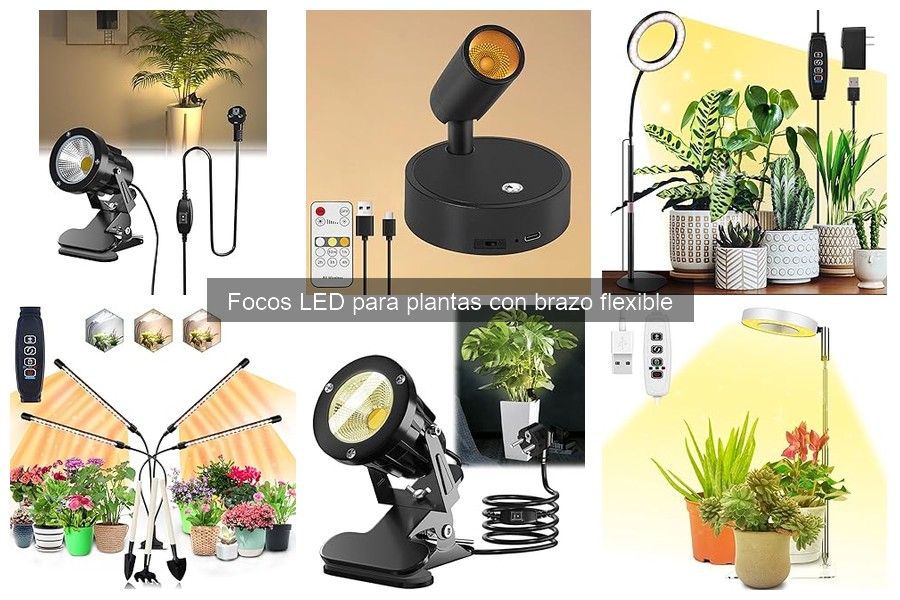 Focos LED para plantas con brazo flexible: características y funciones