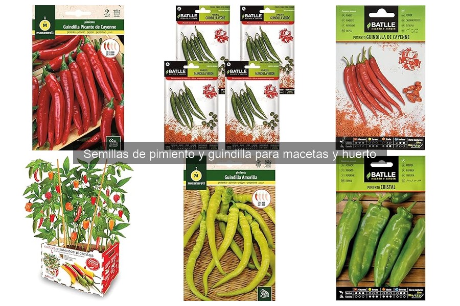 Germinación y cuidado óptimo de semillas de guindilla