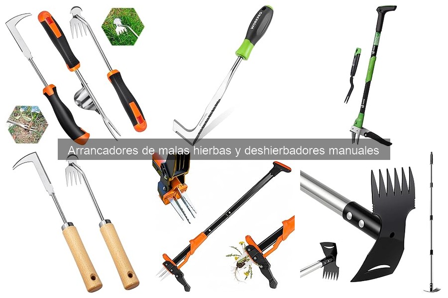 Guía de compra de arrancadores de malas hierbas eficaces