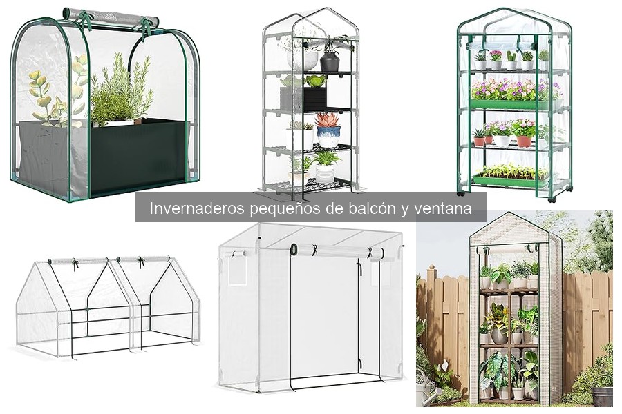 Guía de compra de invernaderos pequeños para balcón