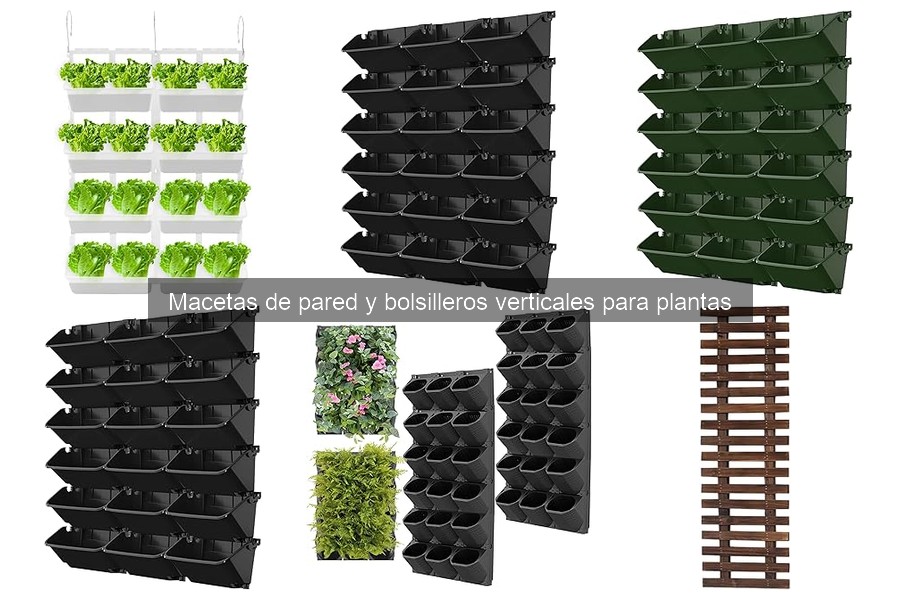 Guía de Compra de Macetas de Pared para Plantas