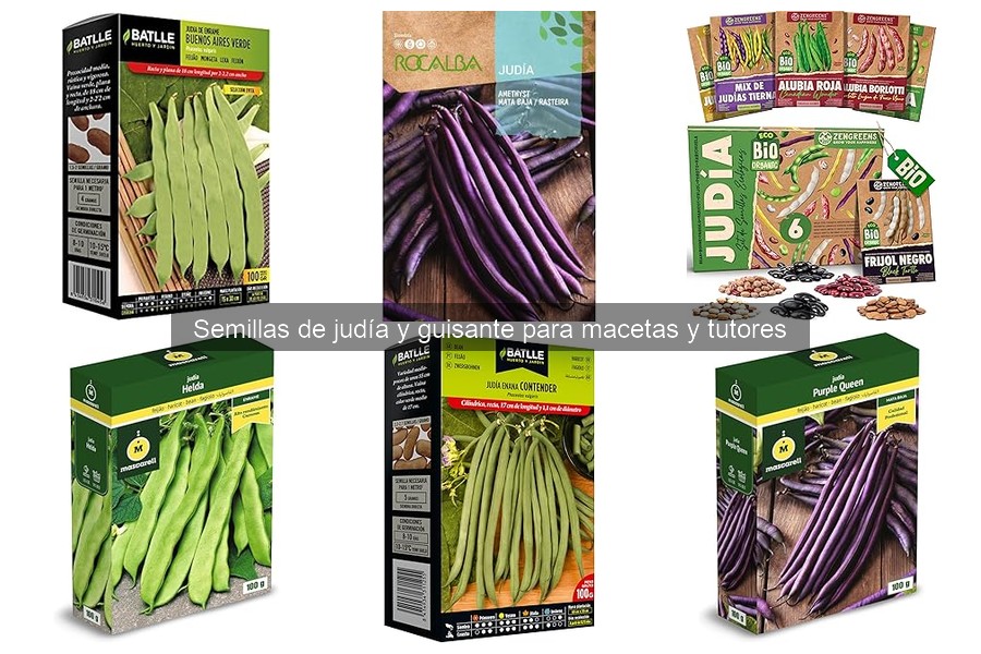 Guía de compra de semillas de judía y guisante para macetas