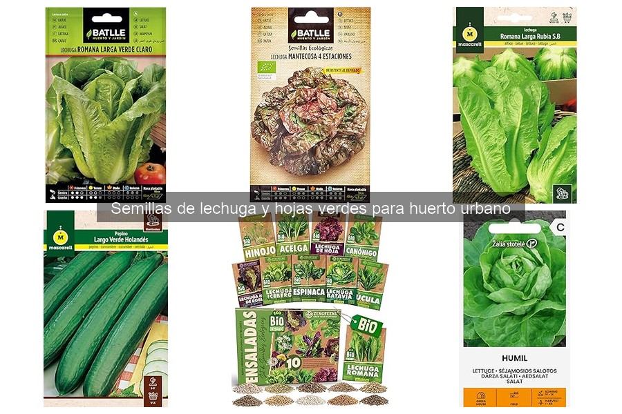 Guía de Compra de Semillas de Lechuga para Tu Huerto Urbano
