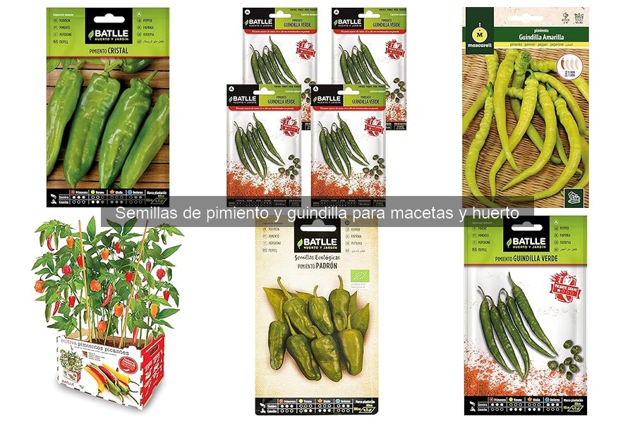 Guía de compra de semillas de pimiento y guindilla