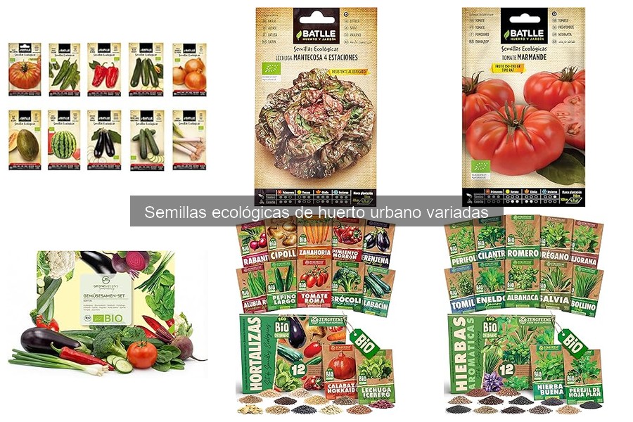 Guía de compra de semillas ecológicas para huertos urbanos