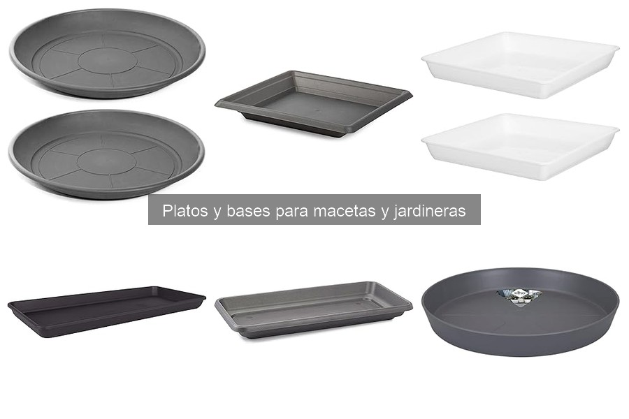 Guía de compra: platos y bases para macetas