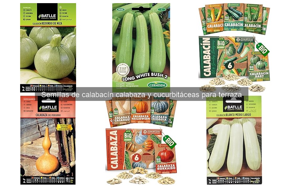 Guía de Compra: Semillas de Calabacín y Calabaza para Terraza