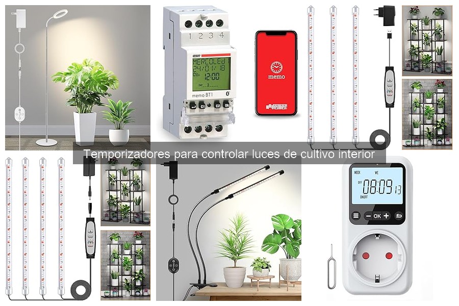 Guía de compra: Temporizadores para luces de cultivo interior