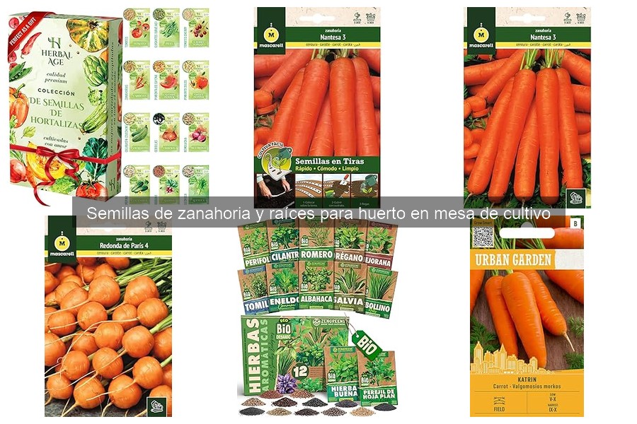 Guía de Mantenimiento para Zanahorias en Huertos Urbanos