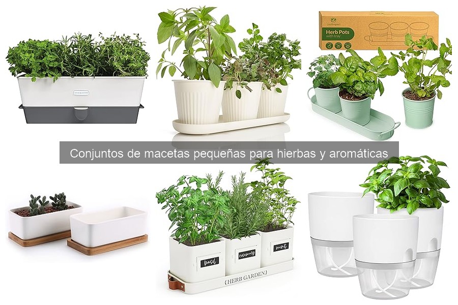 Guía para elegir el conjunto de macetas pequeñas para hierbas