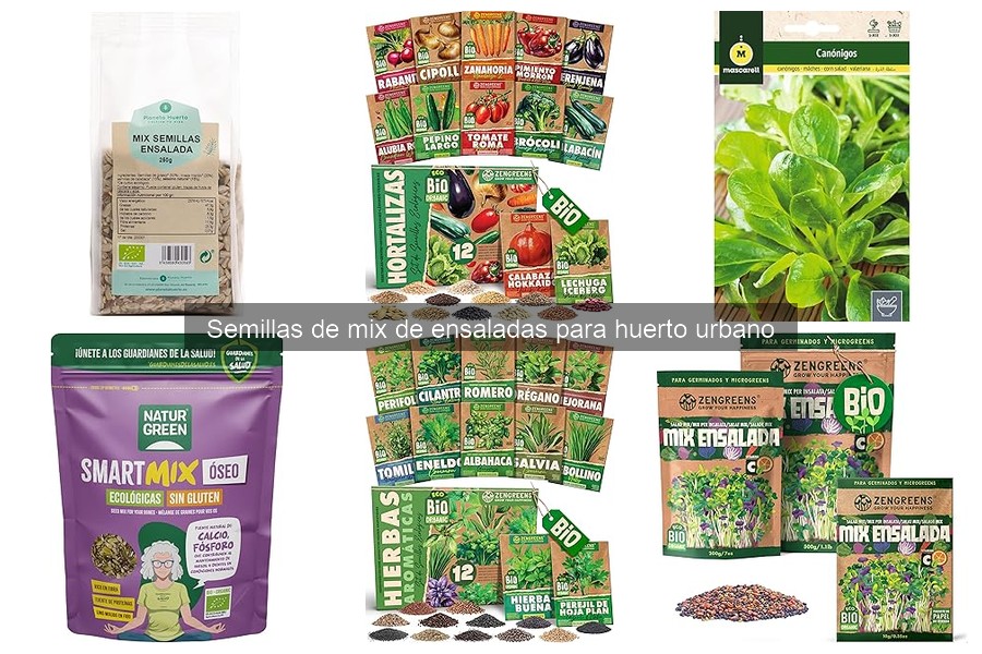 Guía para Elegir el Mejor Mix de Ensaladas Según el Clima