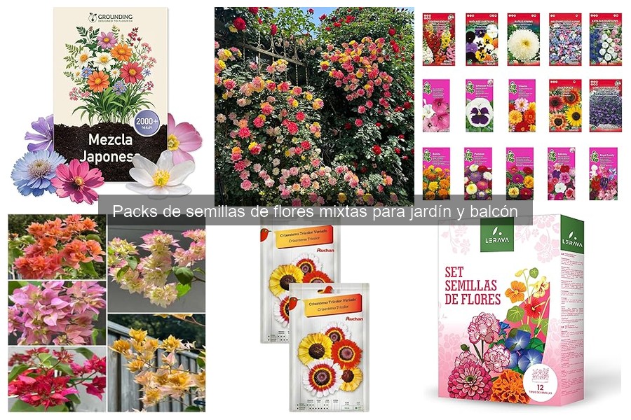 Guía para elegir el mejor pack de semillas de flores mixtas