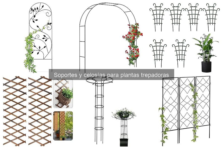 Guía para elegir el soporte ideal para plantas trepadoras
