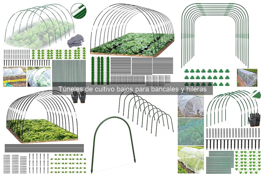 ** Guía para Elegir el Túnel de Cultivo Bajo Ideal