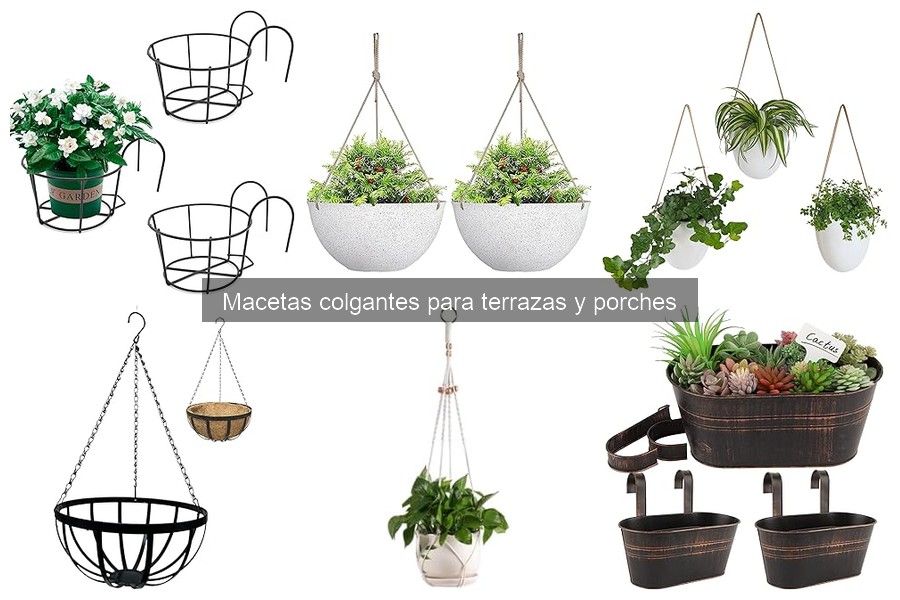 Guía para Elegir la Mejor Maceta Colgante para Terrazas