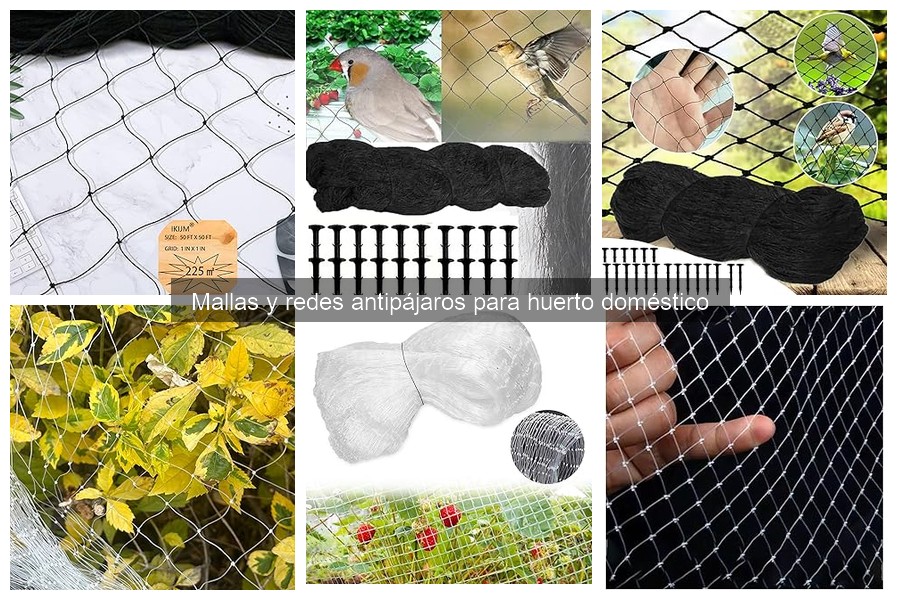 Guía para elegir la mejor red antipájaros para tu huerto