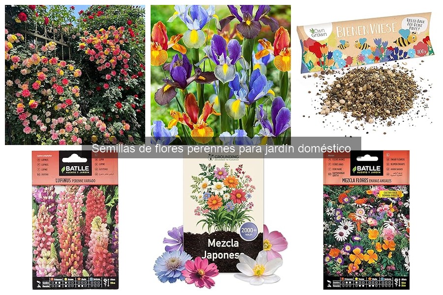 Guía para elegir semillas de flores perennes para tu jardín