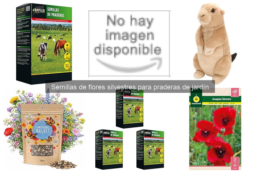 Guía para elegir semillas de flores silvestres en jardín