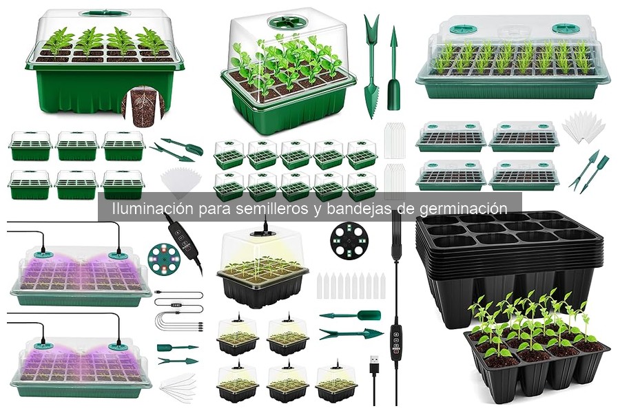 Guía para Instalar Luces en Semilleros Efectivamente
