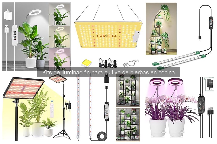 Guía para Instalar un Kit de Iluminación para Cultivo de Hierbas