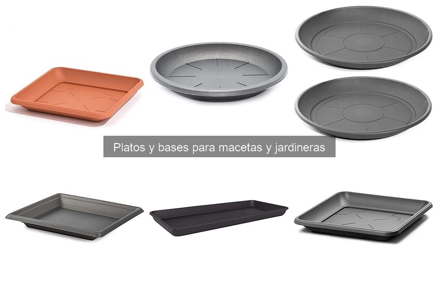 Guía para instalar y usar platos para macetas correctamente