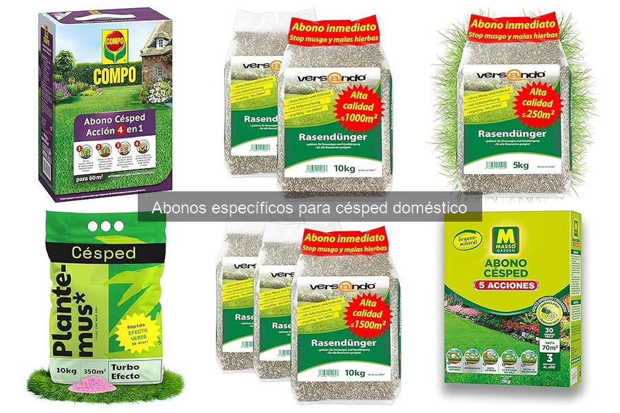 Guía para seleccionar el mejor abono para césped doméstico