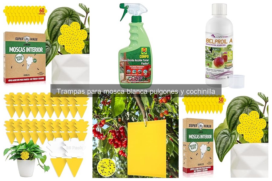 Guía para seleccionar trampas para cochinillas en interiores