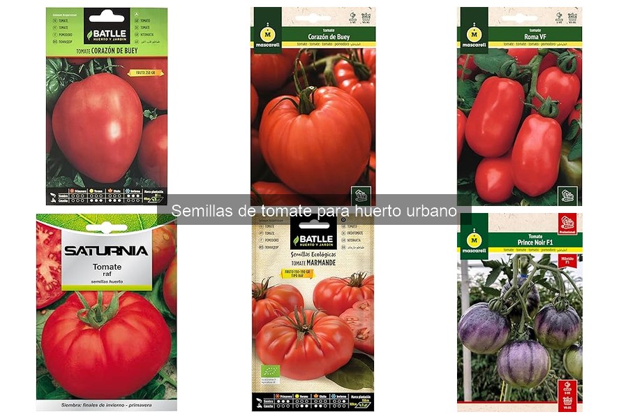 Guía para Sembrar Semillas de Tomate en Balcones y Terrazas